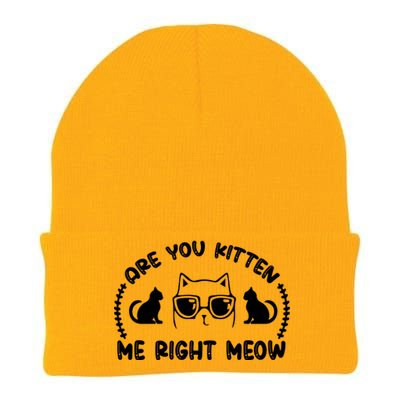 Are You Kitten Me Right Meow Knit Cap Winter Beanie