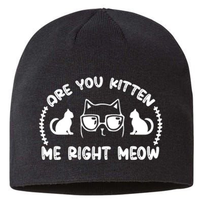 Are You Kitten Me Right Meow Sustainable Beanie