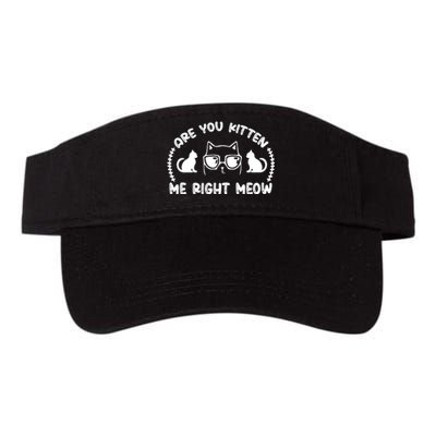 Are You Kitten Me Right Meow Valucap Bio-Washed Visor