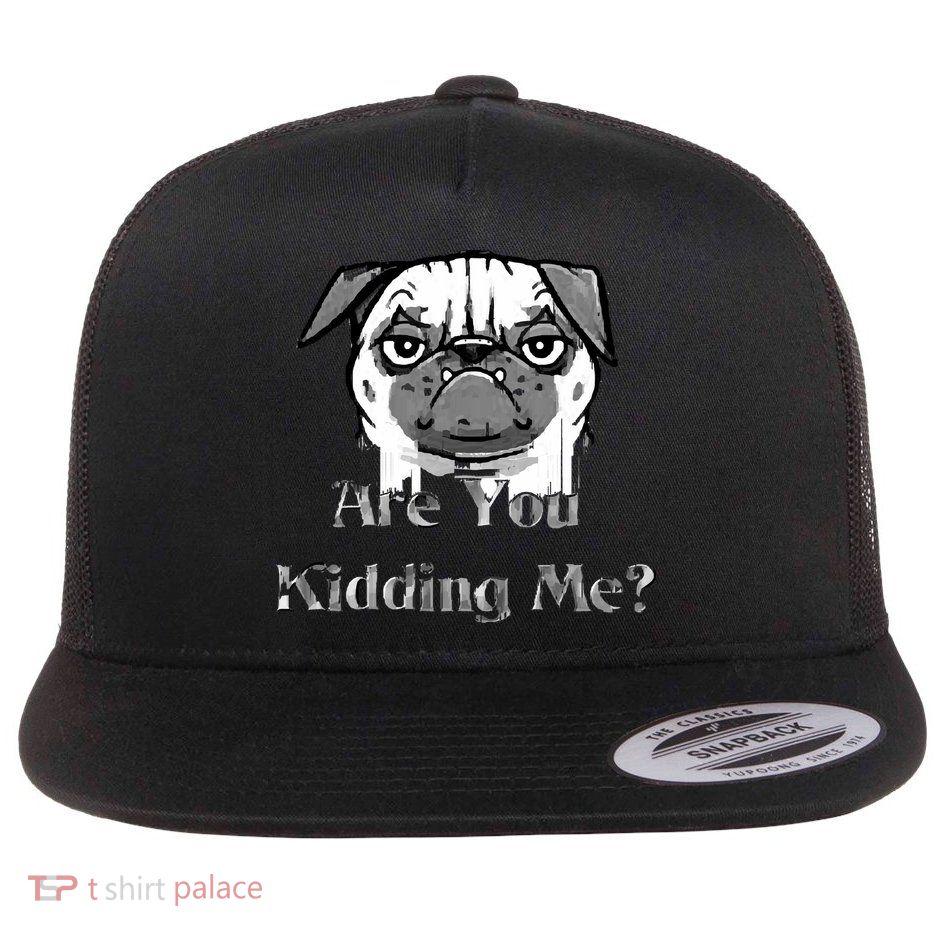 Are You Kidding Me Flatbill Hat