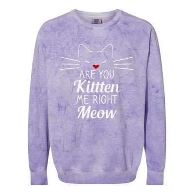 Are You Kitten Me Right Meow Funny Cat Design Colorblast Crewneck Sweatshirt