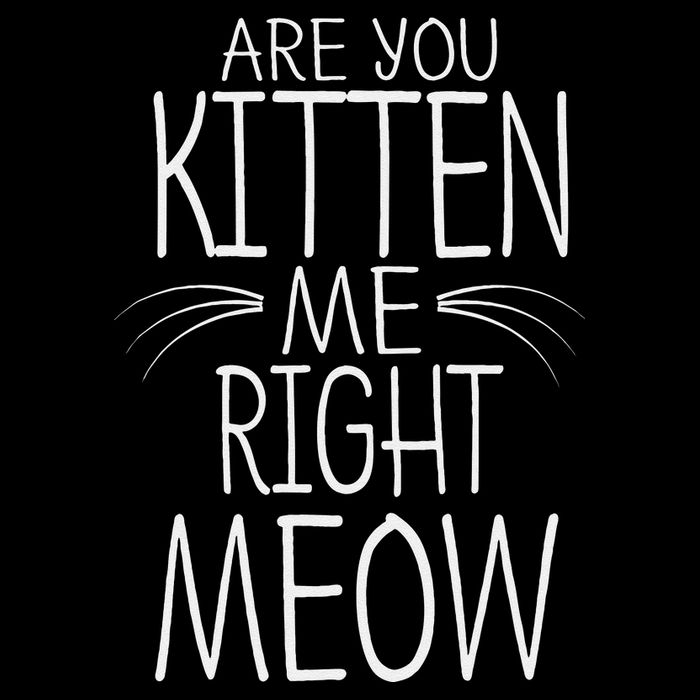 Are You Kitten Me Right Meow Funny Cat Joke Stripe Pom Pom Beanie