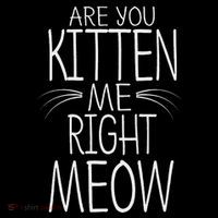 Are You Kitten Me Right Meow Funny Cat Joke Backpack