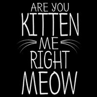 Are You Kitten Me Right Meow Funny Cat Joke Sustainable Bucket Hat