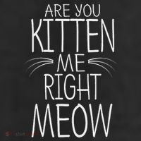 Are You Kitten Me Right Meow Funny Cat Joke 11oz C Handle Ceramic Mug
