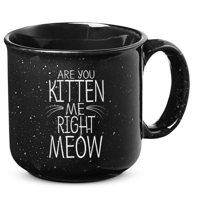 Are You Kitten Me Right Meow Funny Cat Joke 15oz Campfire Ceramic Mug