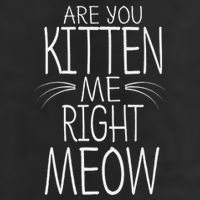 Are You Kitten Me Right Meow Funny Cat Joke 15oz Campfire Ceramic Mug