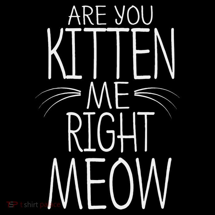 Are You Kitten Me Right Meow Funny Cat Joke Flatbill Hat