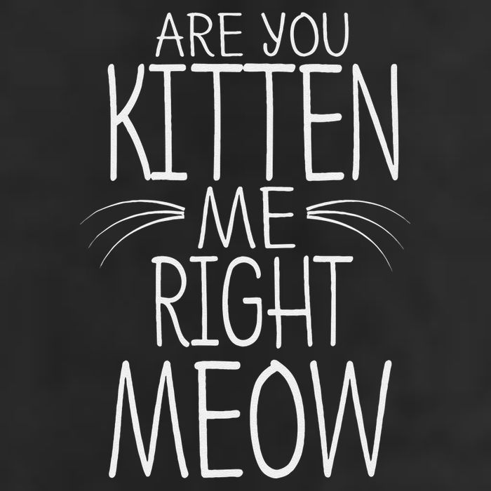 Are You Kitten Me Right Meow Funny Cat Joke Tumbler