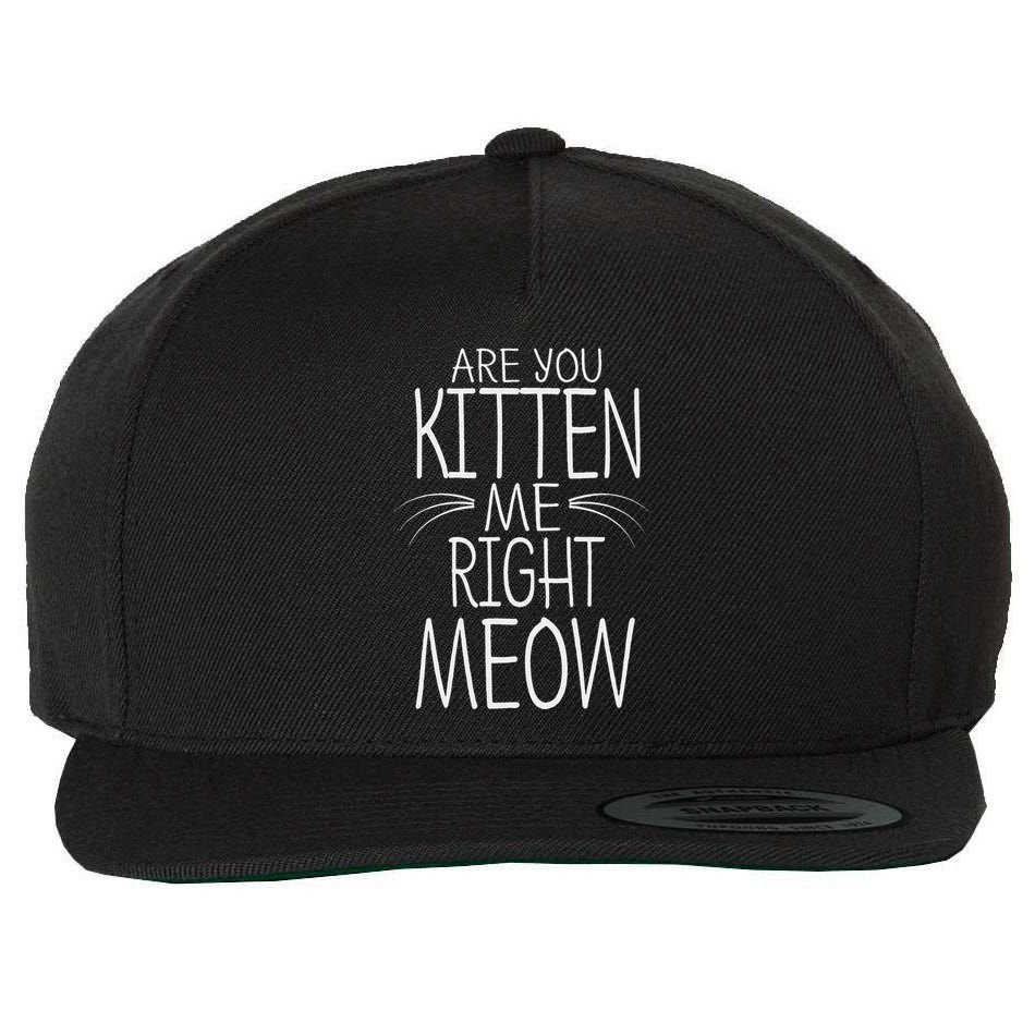 Are You Kitten Me Right Meow Funny Cat Joke Wool Snapback Cap