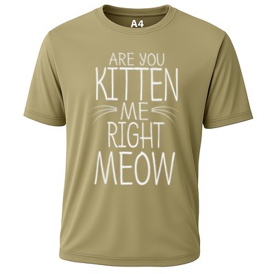 Are You Kitten Me Right Meow Funny Cat Joke Performance Shirt