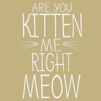 Are You Kitten Me Right Meow Funny Cat Joke Magnet