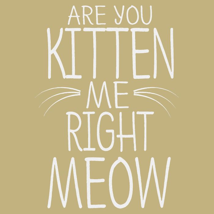 Are You Kitten Me Right Meow Funny Cat Joke Magnet