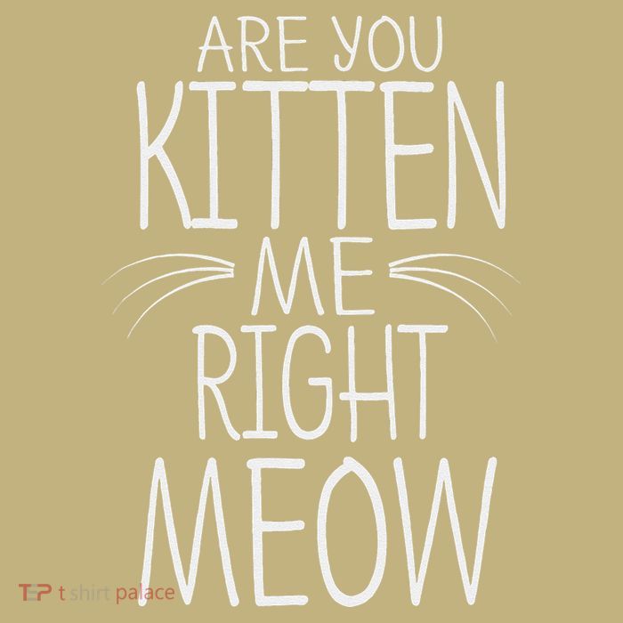Are You Kitten Me Right Meow Funny Cat Joke Cooling Performance Long Sleeve Crew