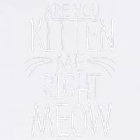 Are You Kitten Me Right Meow Funny Cat Joke Garment-Dyed Sweatshirt