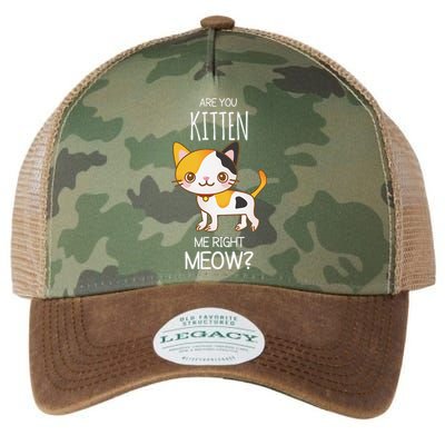 Are You Kitten Me Right Meow Funny Cat Kitty Lovers Legacy Tie Dye Trucker Hat