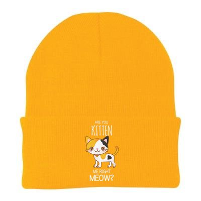 Are You Kitten Me Right Meow Funny Cat Kitty Lovers Knit Cap Winter Beanie