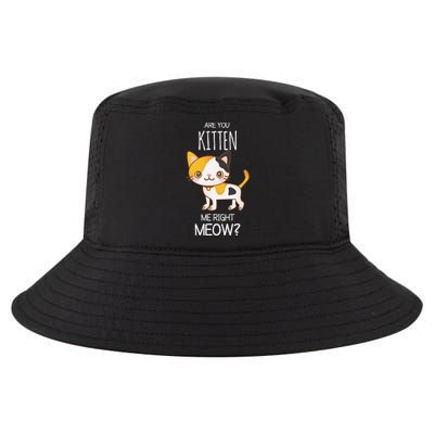 Are You Kitten Me Right Meow Funny Cat Kitty Lovers Cool Comfort Performance Bucket Hat