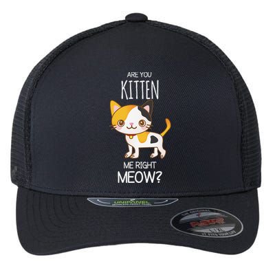 Are You Kitten Me Right Meow Funny Cat Kitty Lovers Flexfit Unipanel Trucker Cap