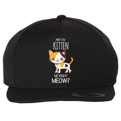 Are You Kitten Me Right Meow Funny Cat Kitty Lovers Wool Snapback Cap