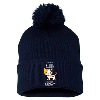 Are You Kitten Me Right Meow Funny Cat Kitty Lovers Pom Pom 12in Knit Beanie