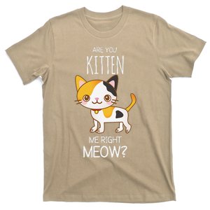 Are You Kitten Me Right Meow Funny Cat Kitty Lovers T-Shirt