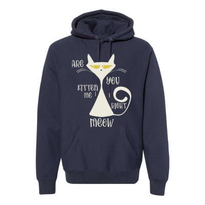 Are You Kitten Me Right Meow Funny Cat Sarcastic Premium Hoodie