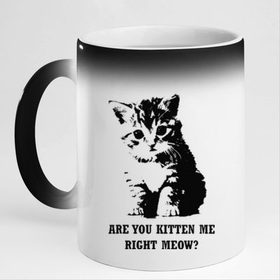 Are You Kitten Me Right Meow 11oz Black Color Changing Mug