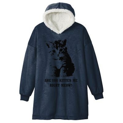 Are You Kitten Me Right Meow Hooded Wearable Blanket