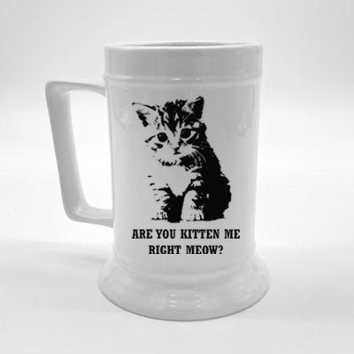 Are You Kitten Me Right Meow Beer Stein