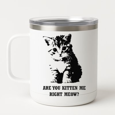 Are You Kitten Me Right Meow 12 oz Stainless Steel Tumbler Cup