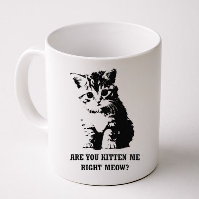 Are You Kitten Me Right Meow Coffee Mug