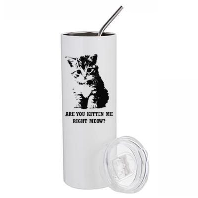 Are You Kitten Me Right Meow Stainless Steel Tumbler