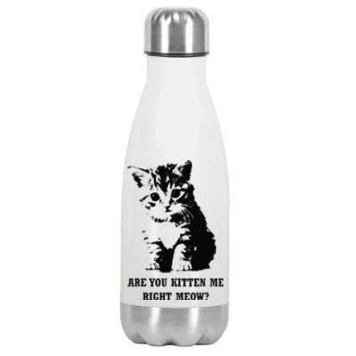 Are You Kitten Me Right Meow Stainless Steel Insulated Water Bottle