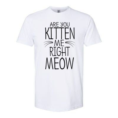 Are You Kitten Me Right Meow Funny Cat Joke Softstyle® CVC T-Shirt