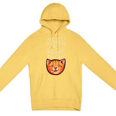 Are You Kitten Me Right Meowy Funny Orange Gift Premium Pullover Hoodie