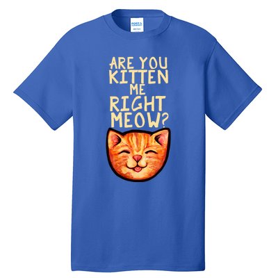 Are You Kitten Me Right Meowy Funny Orange Gift Tall T-Shirt