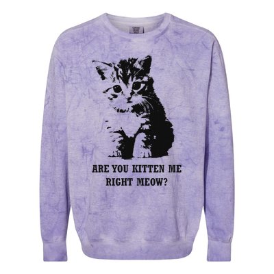 Are You Kitten Me Right Meow Colorblast Crewneck Sweatshirt