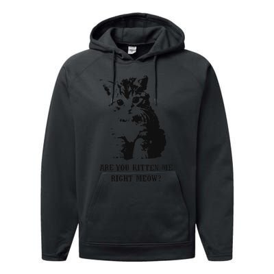 Are You Kitten Me Right Meow Performance Fleece Hoodie