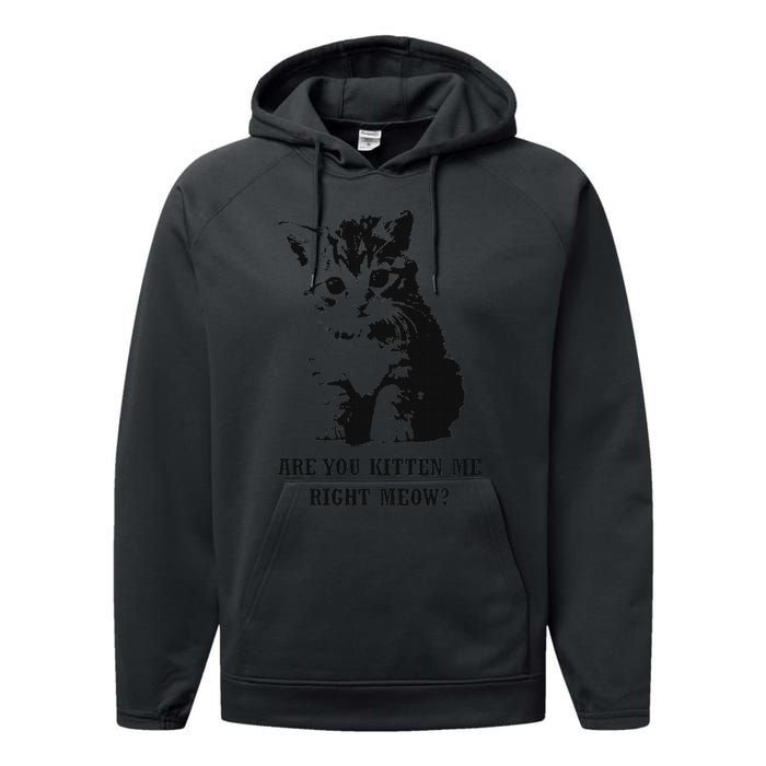 Are You Kitten Me Right Meow Performance Fleece Hoodie