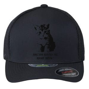 Are You Kitten Me Right Meow Flexfit Unipanel Trucker Cap