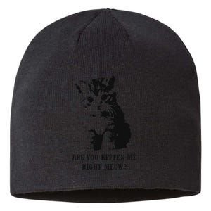 Are You Kitten Me Right Meow Sustainable Beanie