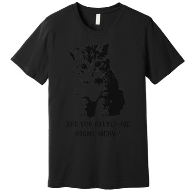 Are You Kitten Me Right Meow Premium T-Shirt