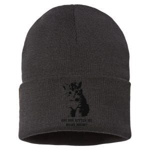 Are You Kitten Me Right Meow Sustainable Knit Beanie