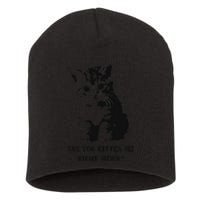 Are You Kitten Me Right Meow Short Acrylic Beanie