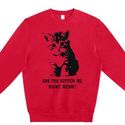 Are You Kitten Me Right Meow Premium Crewneck Sweatshirt