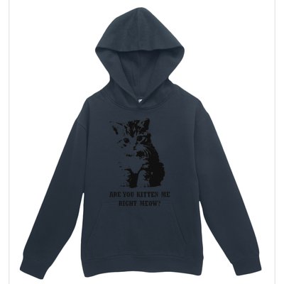 Are You Kitten Me Right Meow Urban Pullover Hoodie