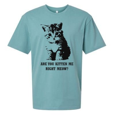 Are You Kitten Me Right Meow Sueded Cloud Jersey T-Shirt