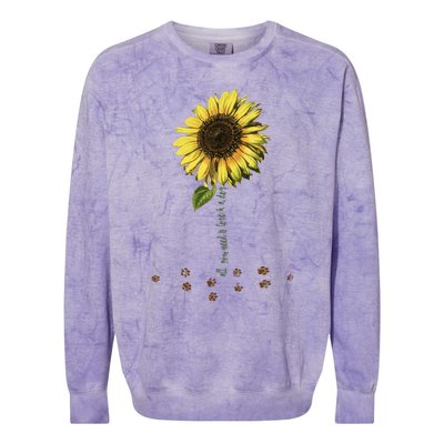 All You Need Is A Dog And Love Sunflower Paw Prints Gift Colorblast Crewneck Sweatshirt