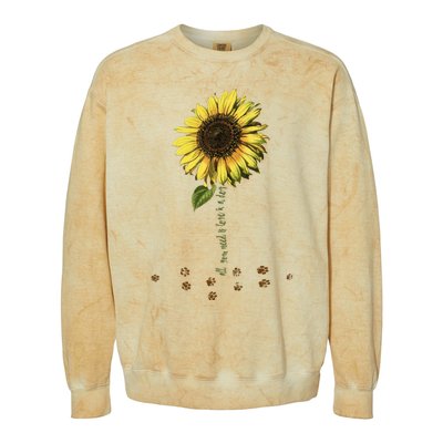 All You Need Is A Dog And Love Sunflower Paw Prints Gift Colorblast Crewneck Sweatshirt